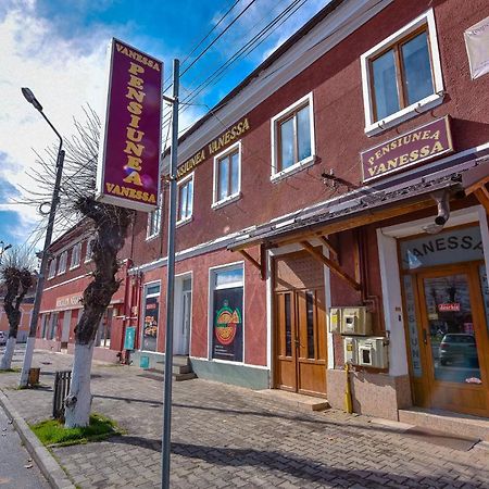 Pensiunea Vanessa Făgăraş Eksteriør bilde