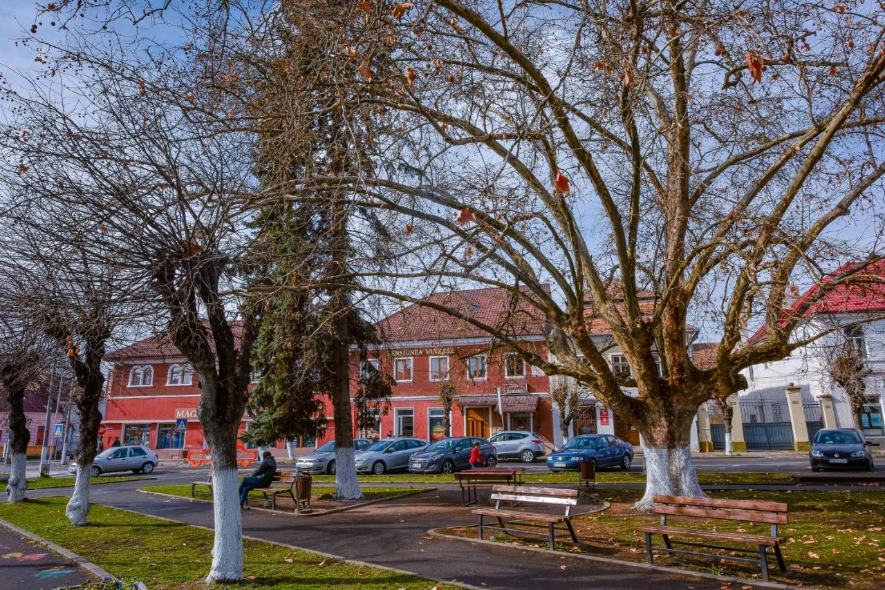 Pensiunea Vanessa Făgăraş Eksteriør bilde